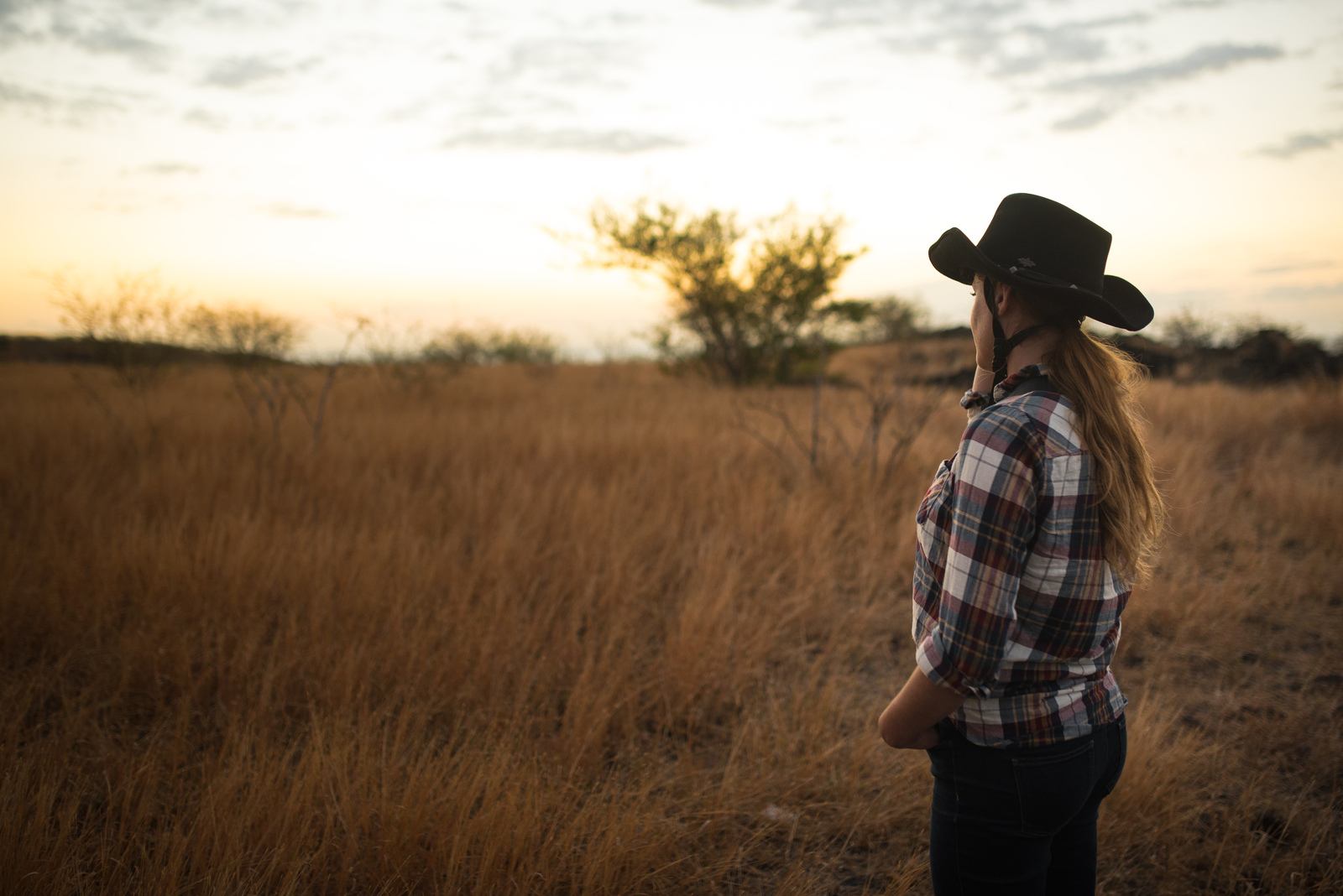 Perdue, au milieu de la Savane réunionnaise