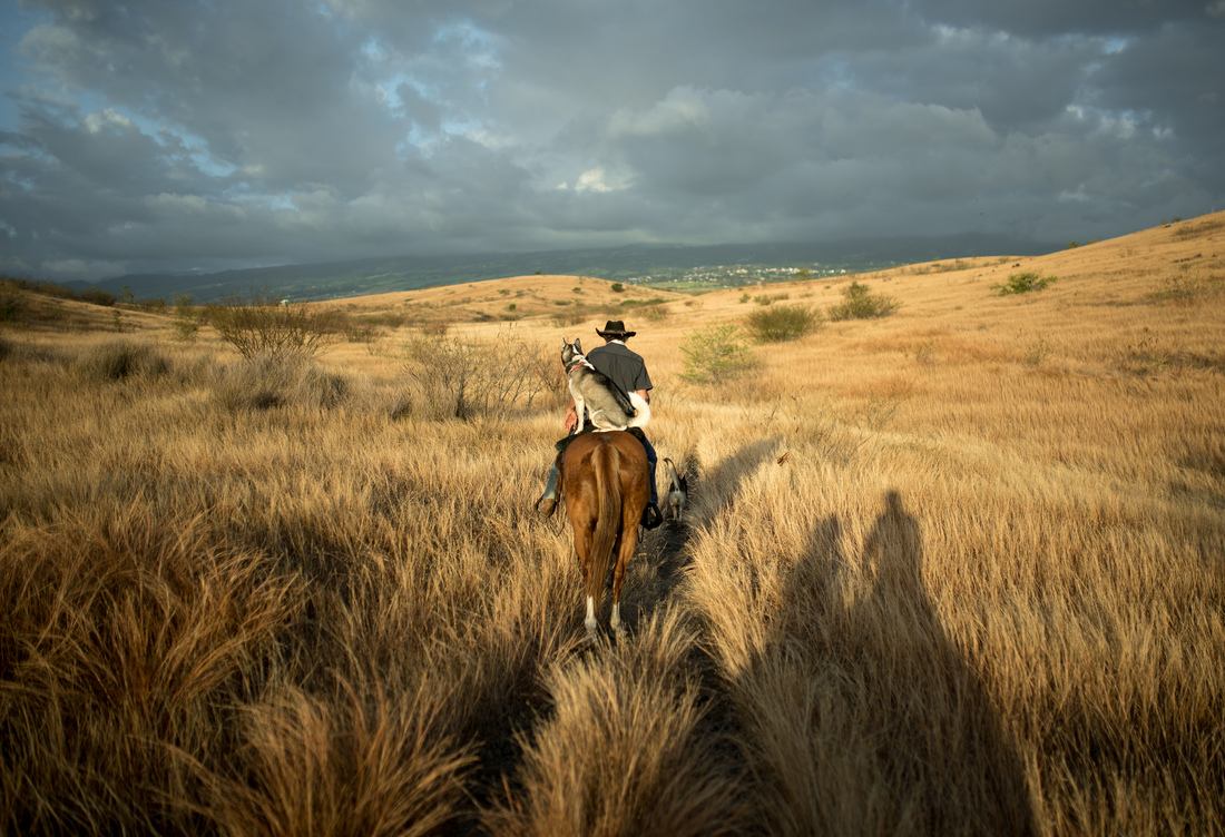 Manou, et Peluche, dans la savane