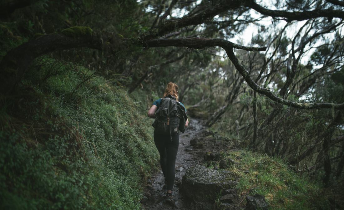 En route pour le Refuge de la Caverne Dufour, La Réunion