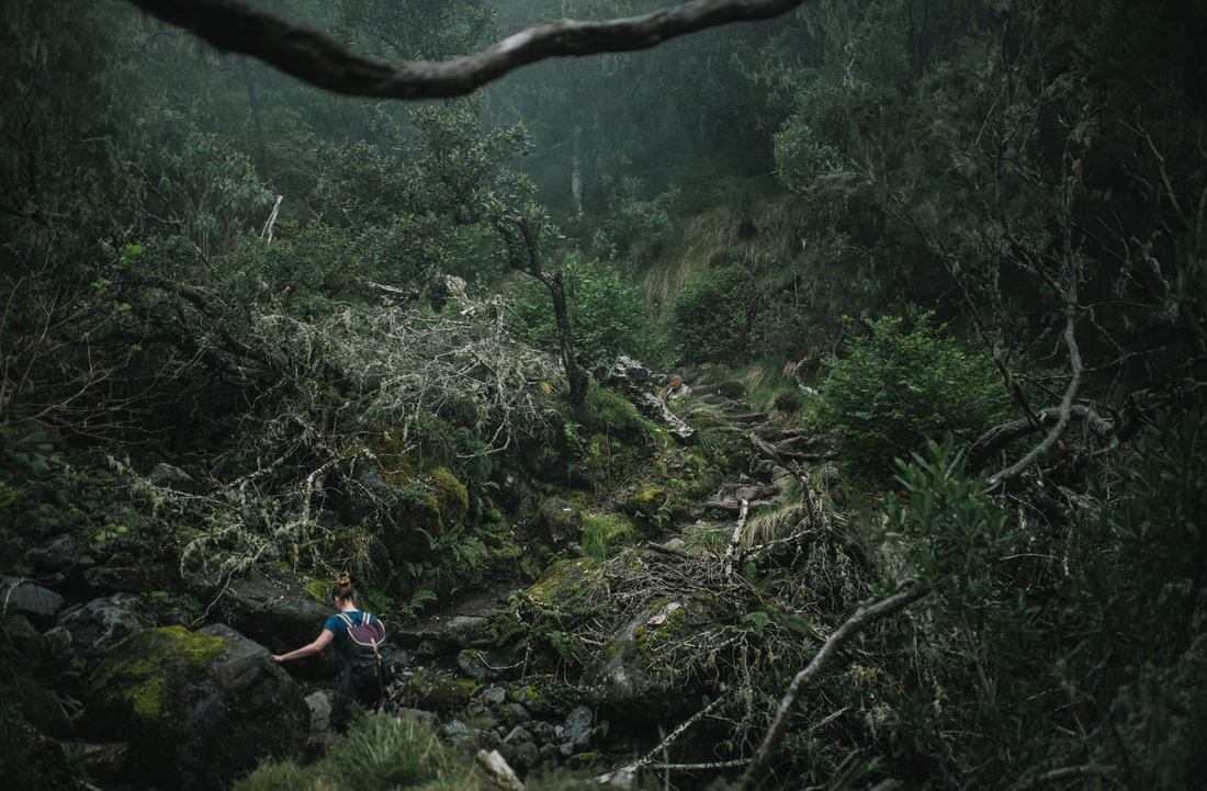 Se sentir bien petit dans cet environnement