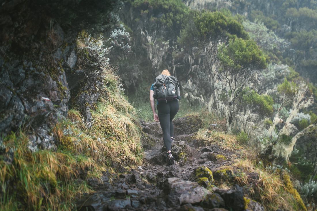 Dans la brume, au piton des Neiges