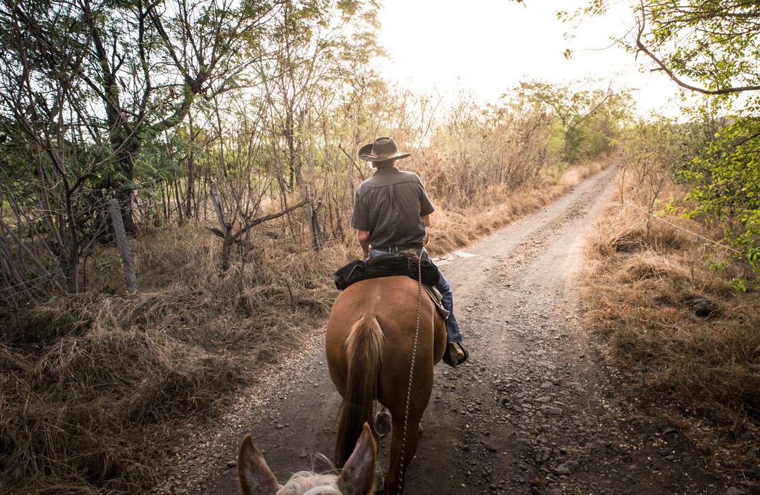 Suivre Manou en direction de la savane