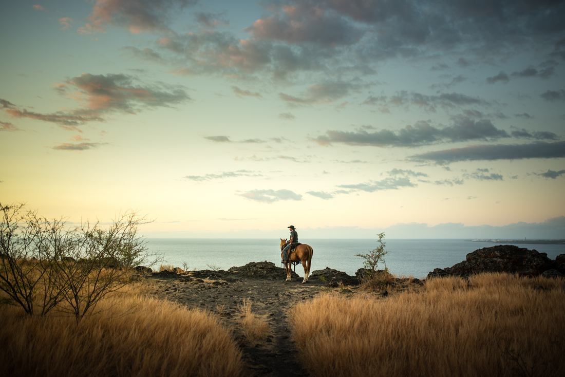 Le cow-boy de la Réunion
