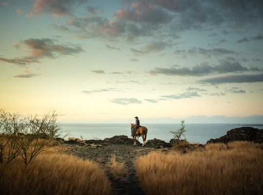 La Réunion à cheval : le jour où nous étions des cow-boys