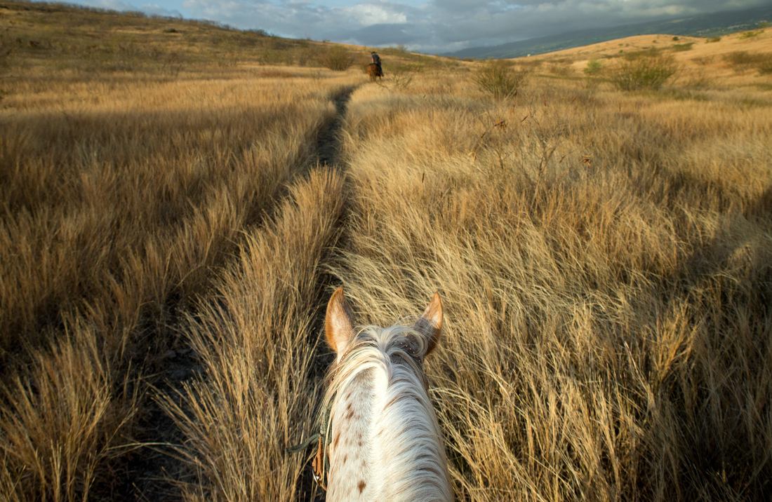 A dos de cheval, La Réunion