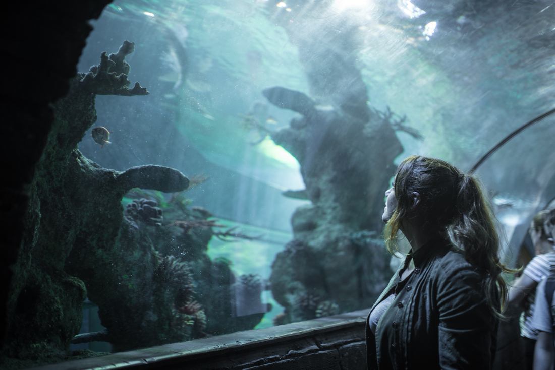 L'étonnant Aquarium de Malte