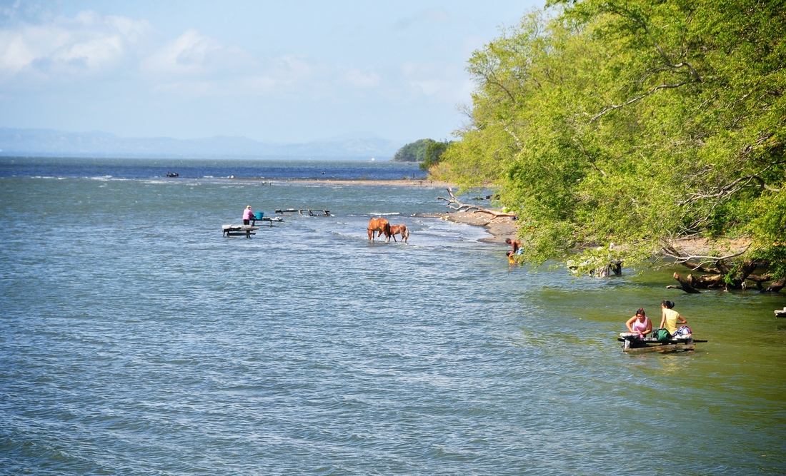 Ile Ometepe  Lac Nicaragua
