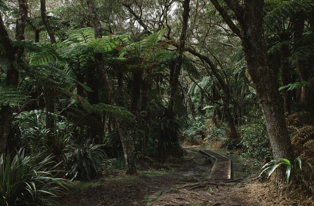 Tunnel naturel, Bélouve