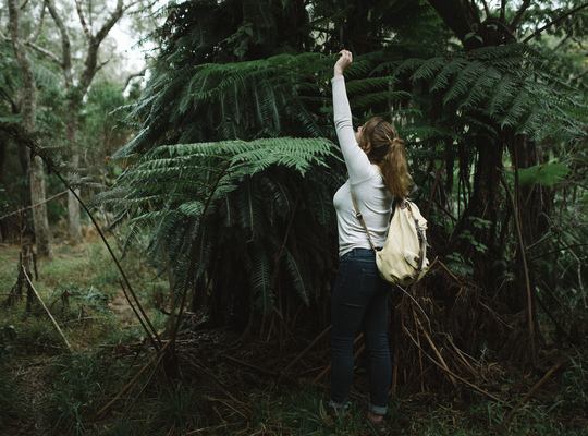 Se sentir si petit dans la végétation 
