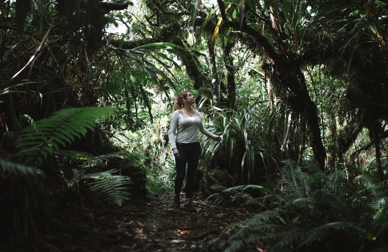 Au milieu de la végétation luxuriante 