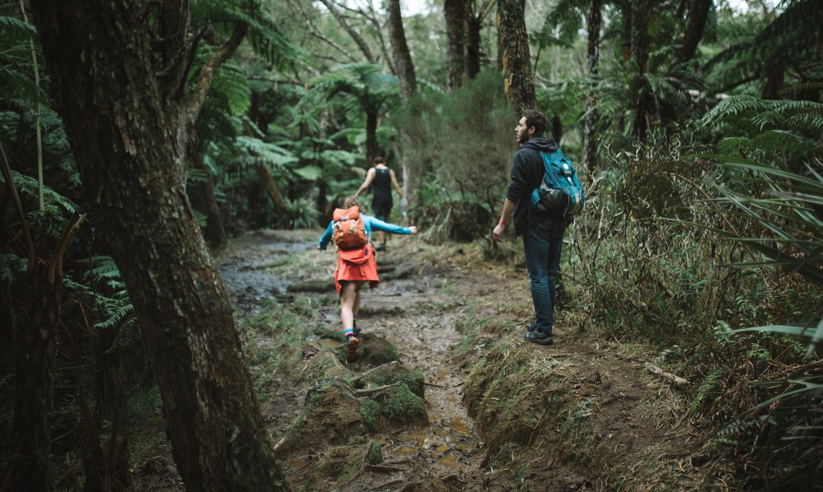 Balade en famille à Bélouve