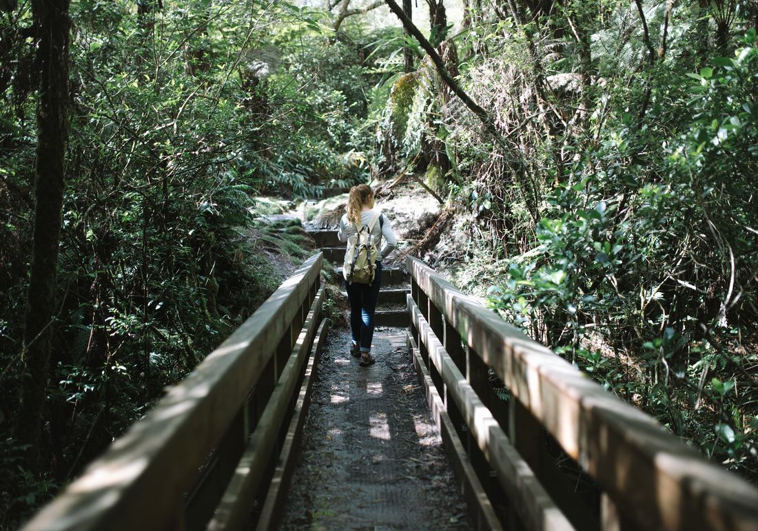 Petit pont de bois dans la foret 