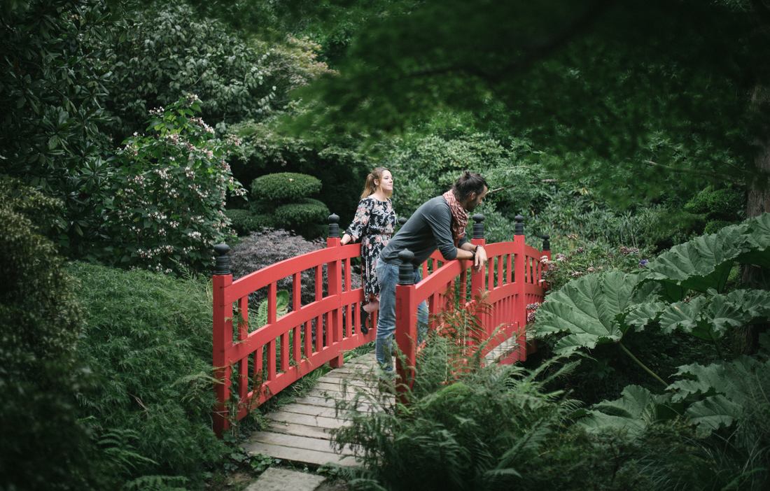 Dans le jardin botanique de Haute Bretagne