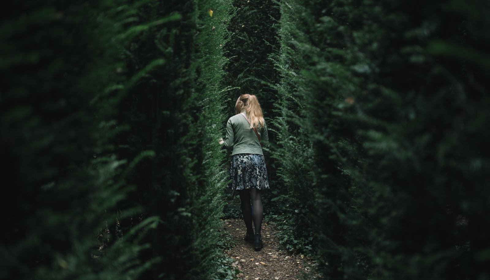 Labyrinthe végétal à la Ballue, Bretagne Labyrinthe végétal à la Ballue, Bretagne