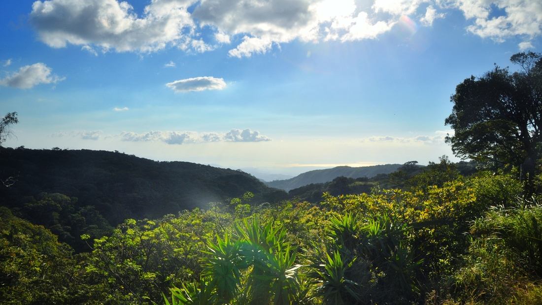 Paysage de Monteverde au Costa Rica
