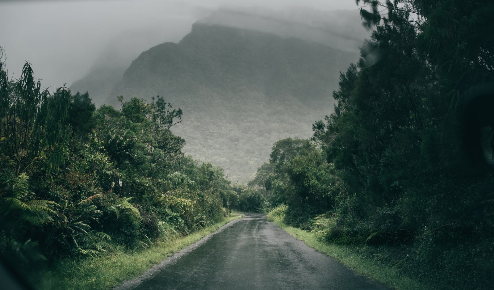 En route pour la foret de Bélouve, sous la brume