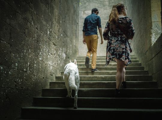 Se balader dans le Chateau de Biron