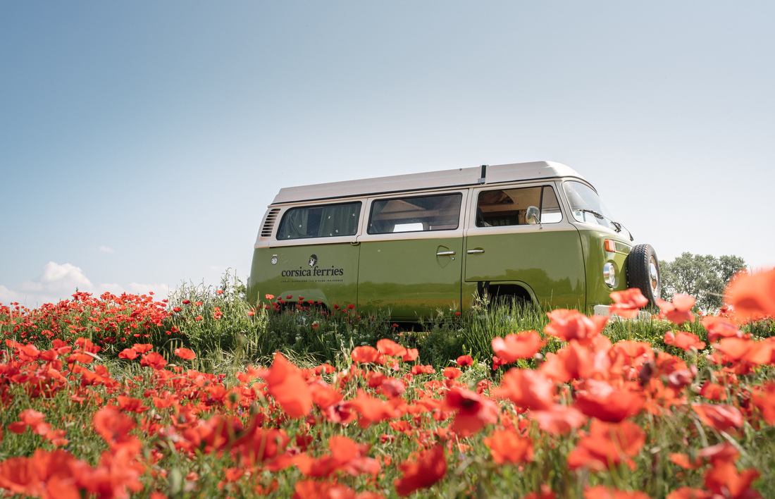 Notre combi VW tout vert au milieu d'un champ de coquelicots 
