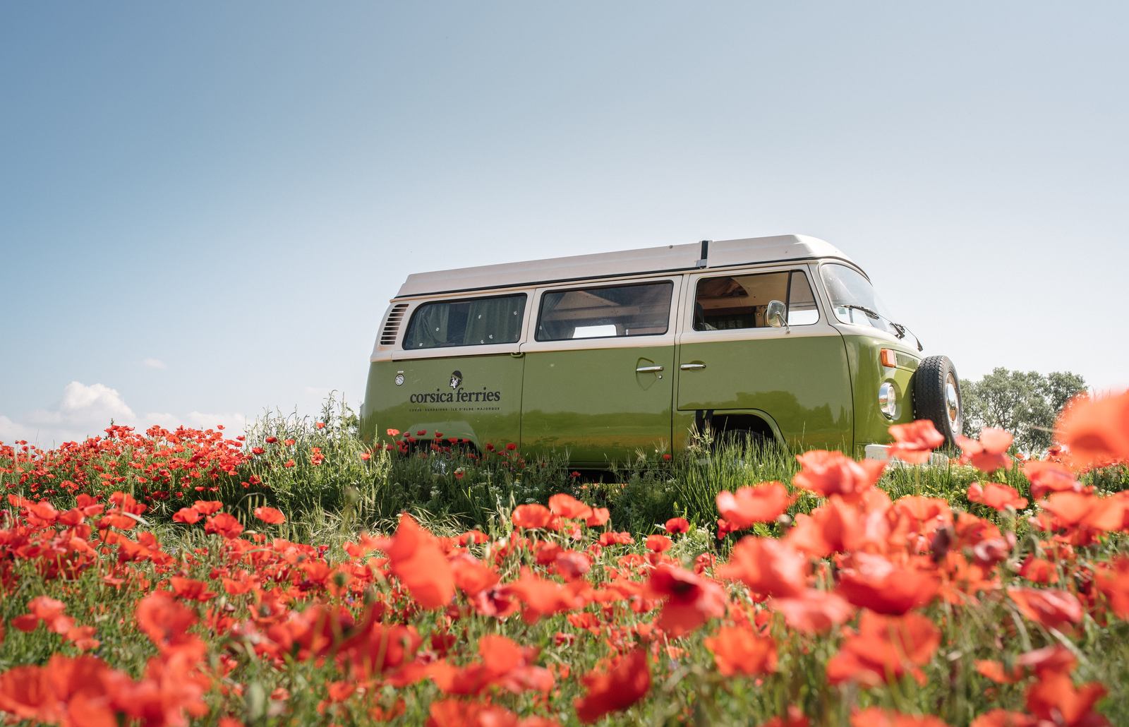 Notre combi VW tout vert au milieu d'un champ de coquelicots 