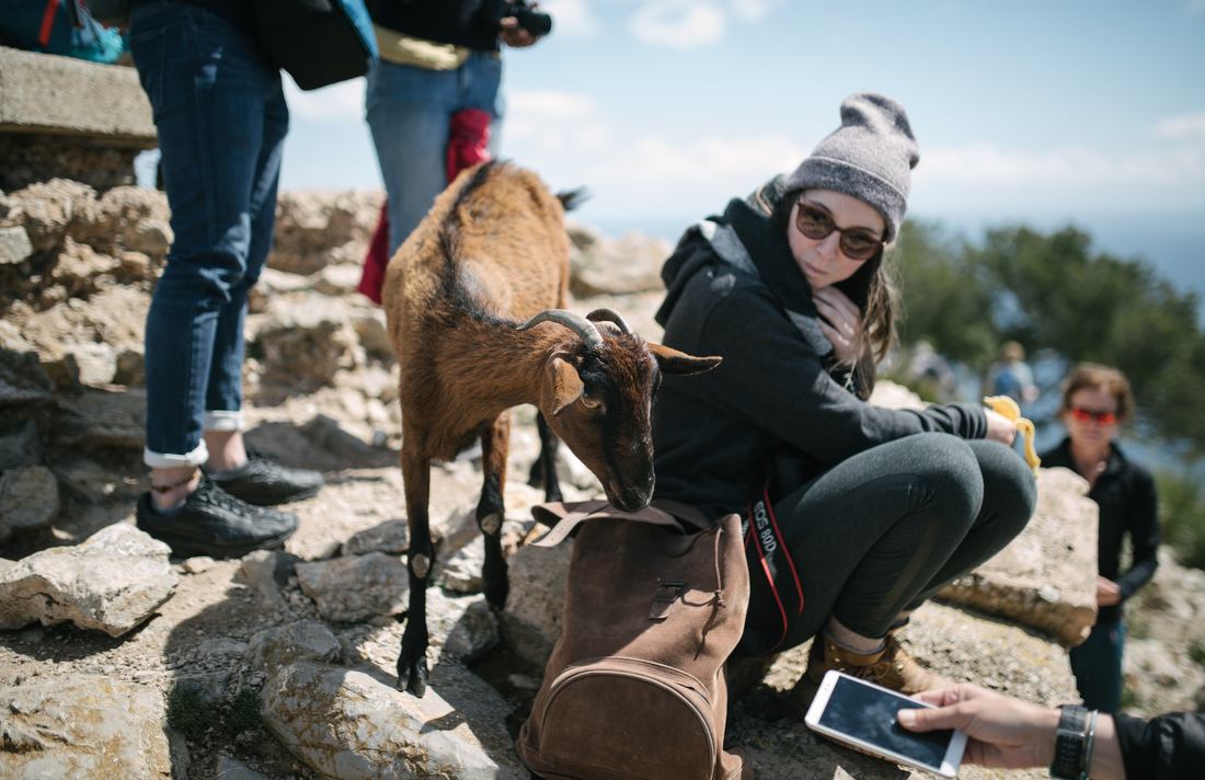 Marion et... les chèvres