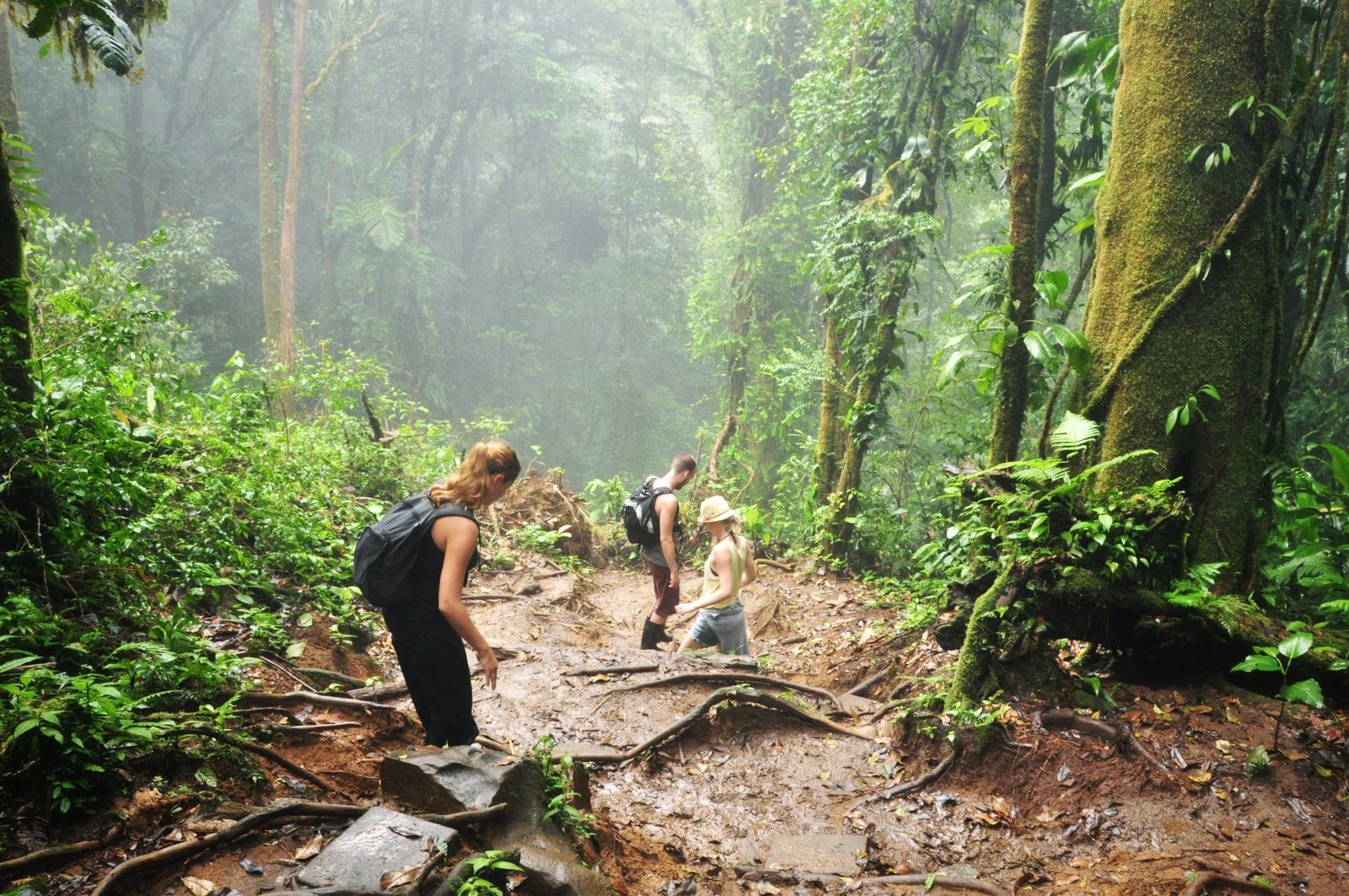 Au coeur de la cloud forest, Rio céleste Au coeur de la cloud forest, Rio céleste