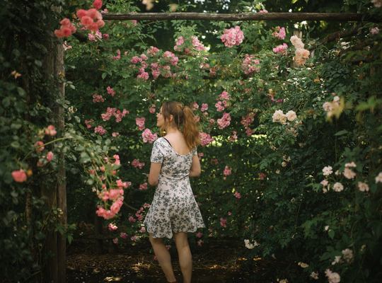 Labyrinthe de roses, Prieuré d'Orsan
