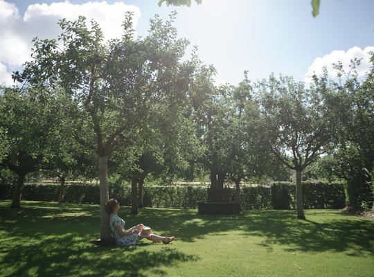 À l'ombre des pommiers, Prieuré d'Orsan