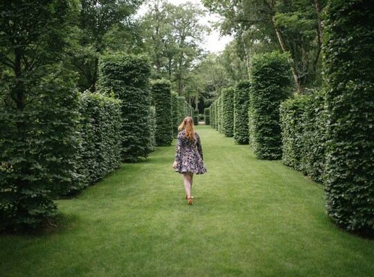 Haies de charmes, Château de Pesselières