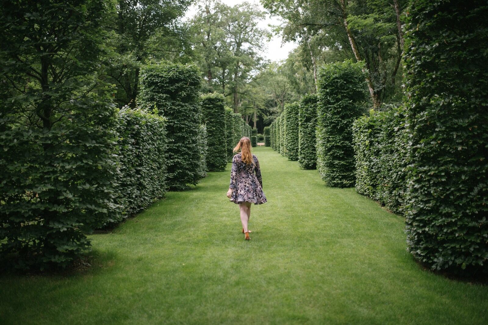 Haies de charmes, Château de Pesselières Haies de charmes, Château de Pesselières