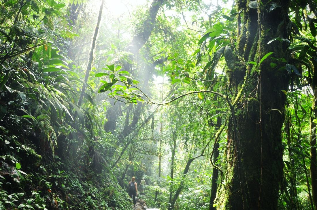 Rayons de soleil dans la foret du Rio Celeste