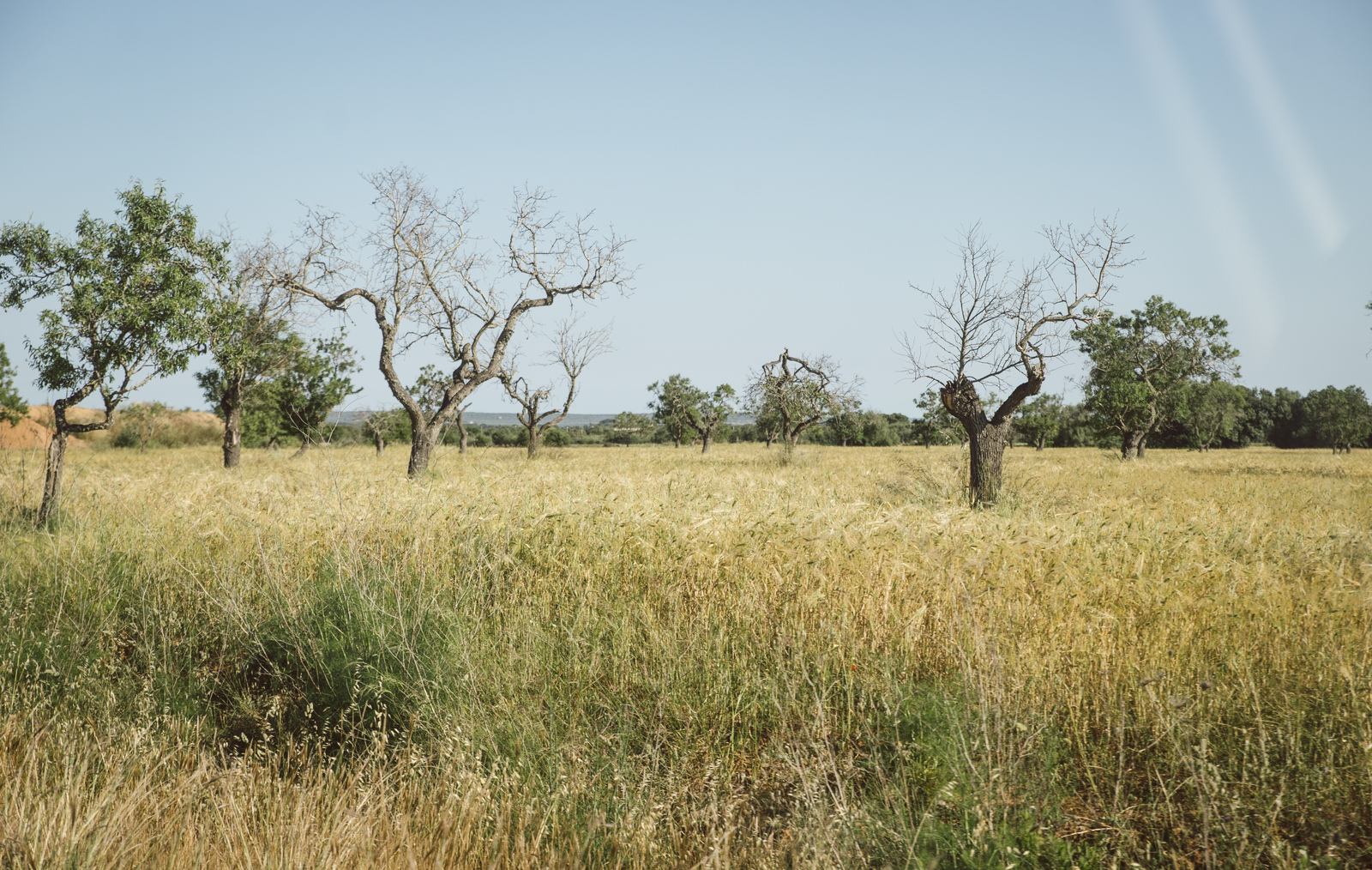 Paysages du sud est de Majorque