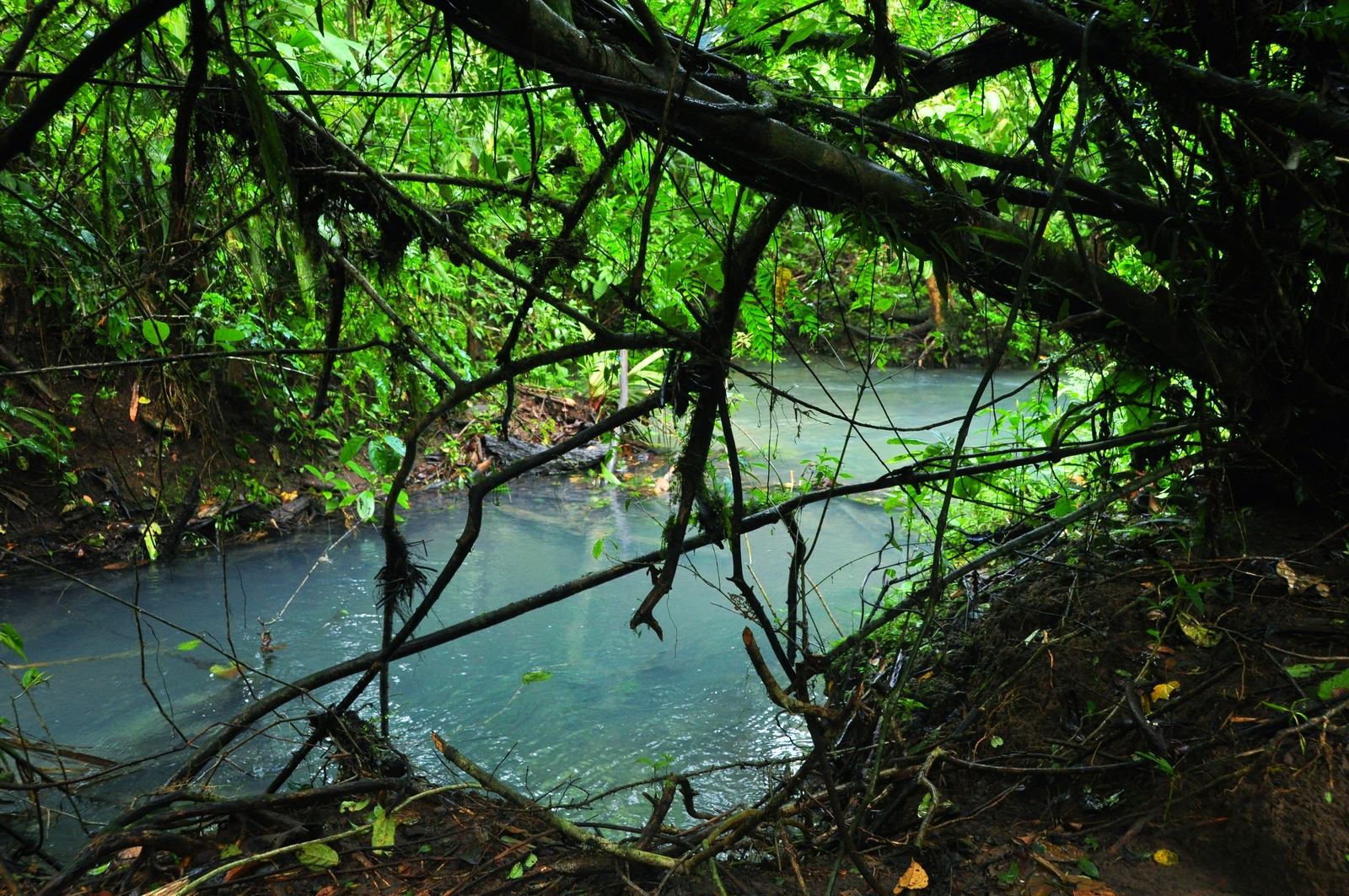 Rio Celeste au Costa Rica