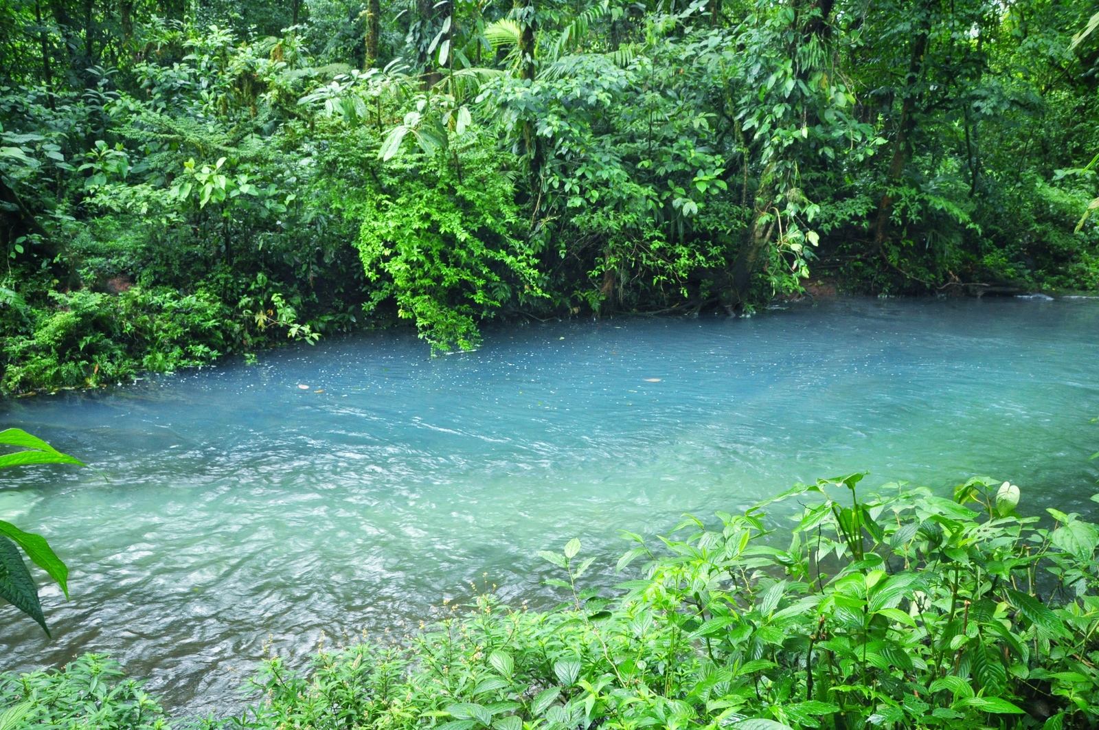 Eau bleue du Rio celeste, Costa Rica Eau bleue du Rio celeste, Costa Rica