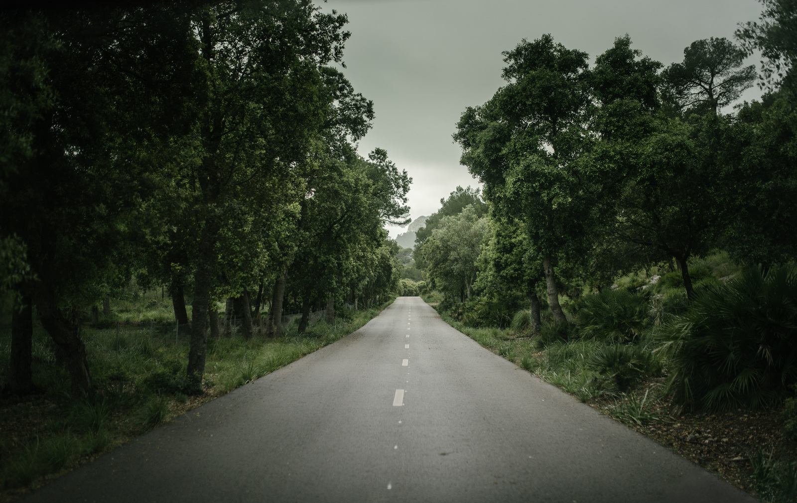 Petite route vers Formentor, Majorque