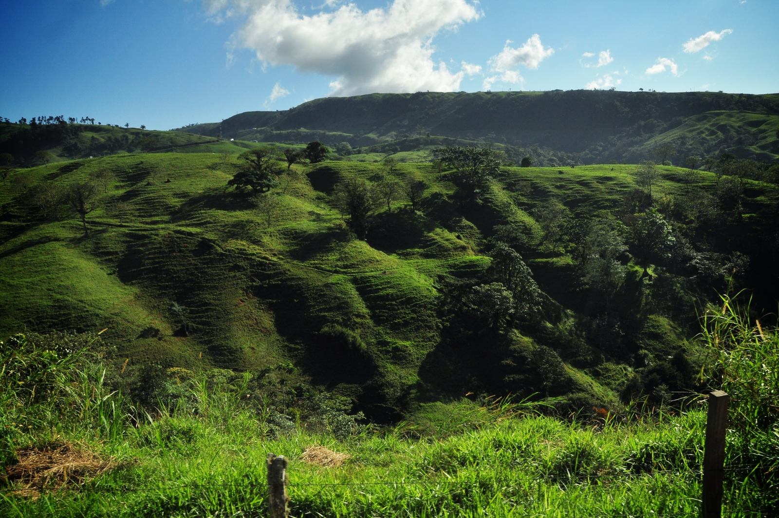 Paysage de Monteverde
