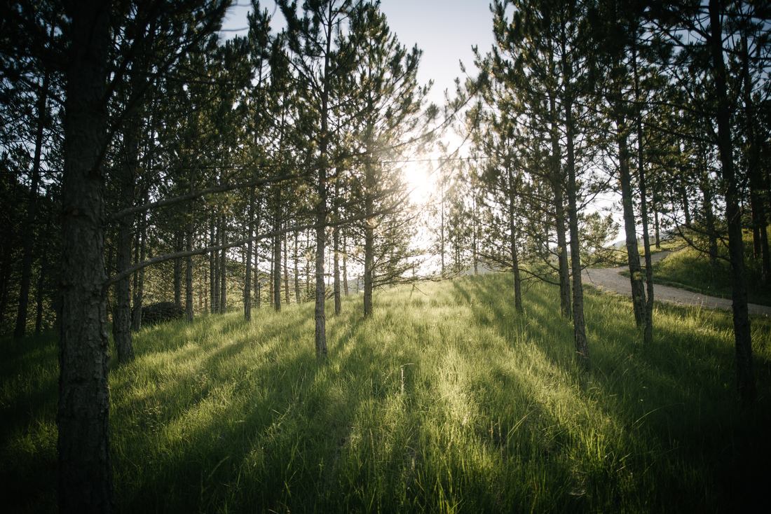 Coucher de soleil à Terre des Baronnies