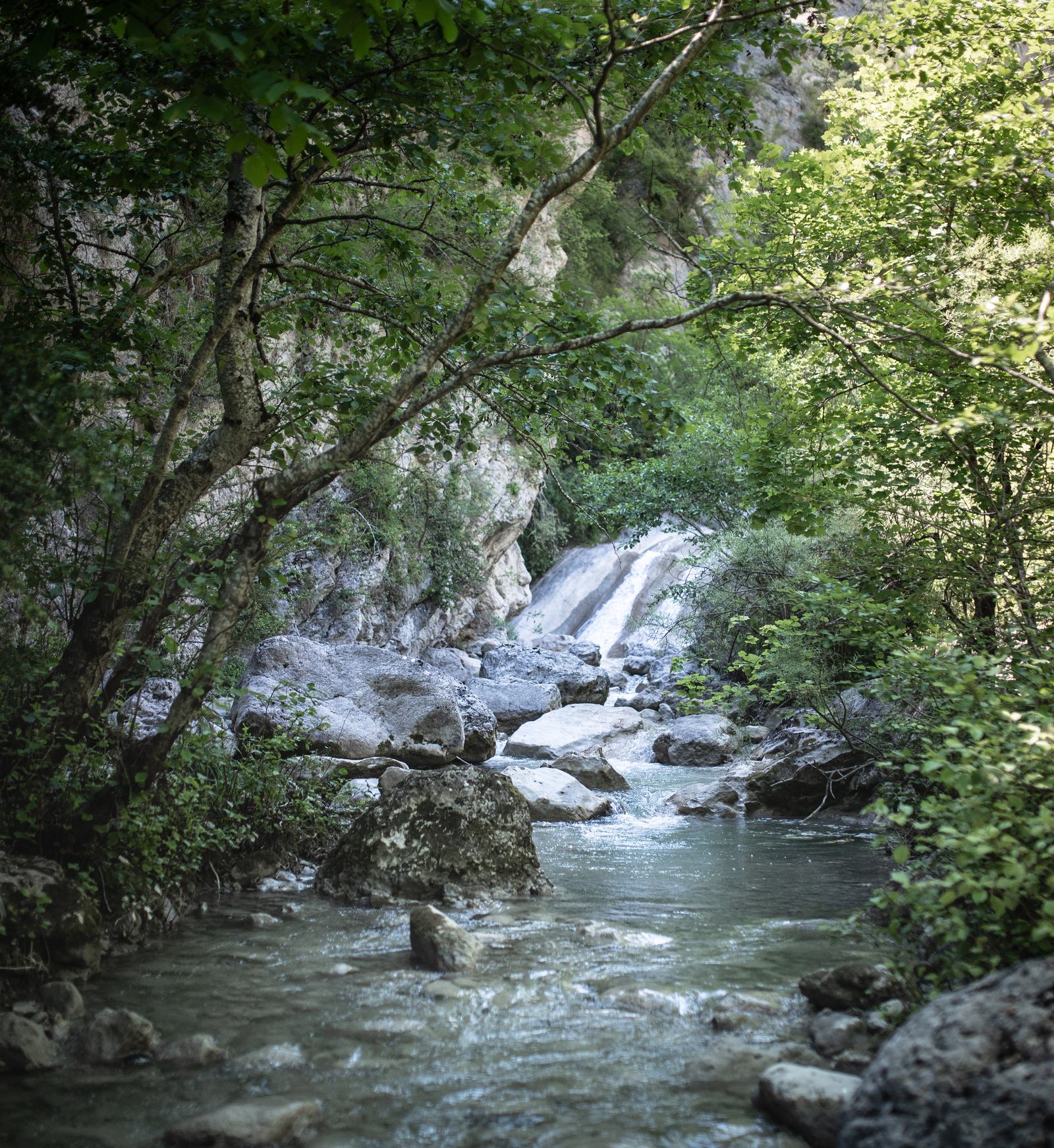 Découvrir THE spot aux Baronnies 