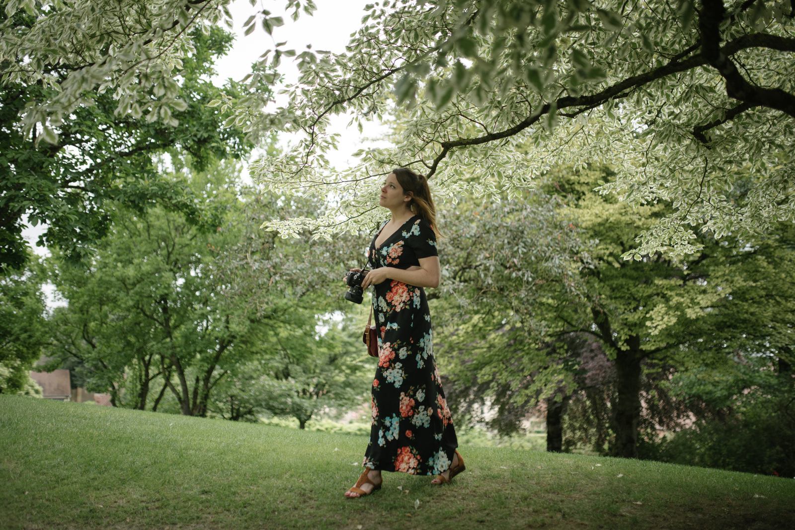 Espèces rares dans les jardins d'Apremont