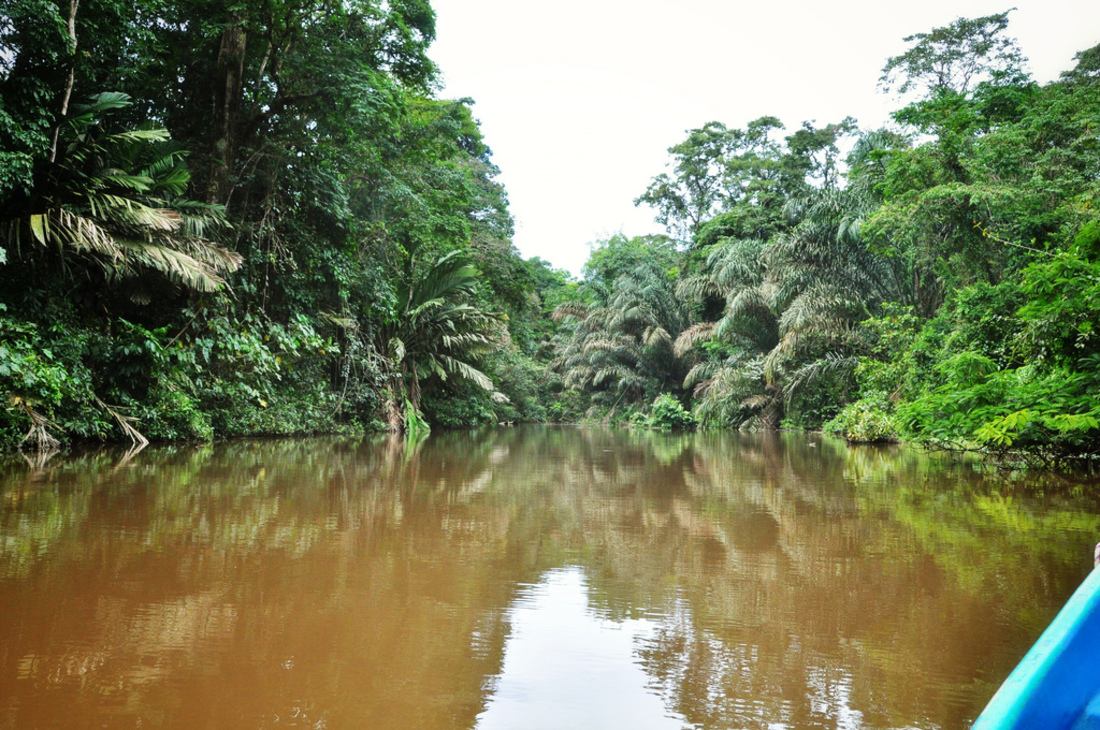 Tortuguero Rivière