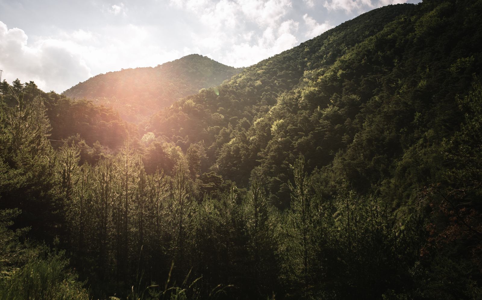 Vue depuis notre cabane Terre des Baronnies 