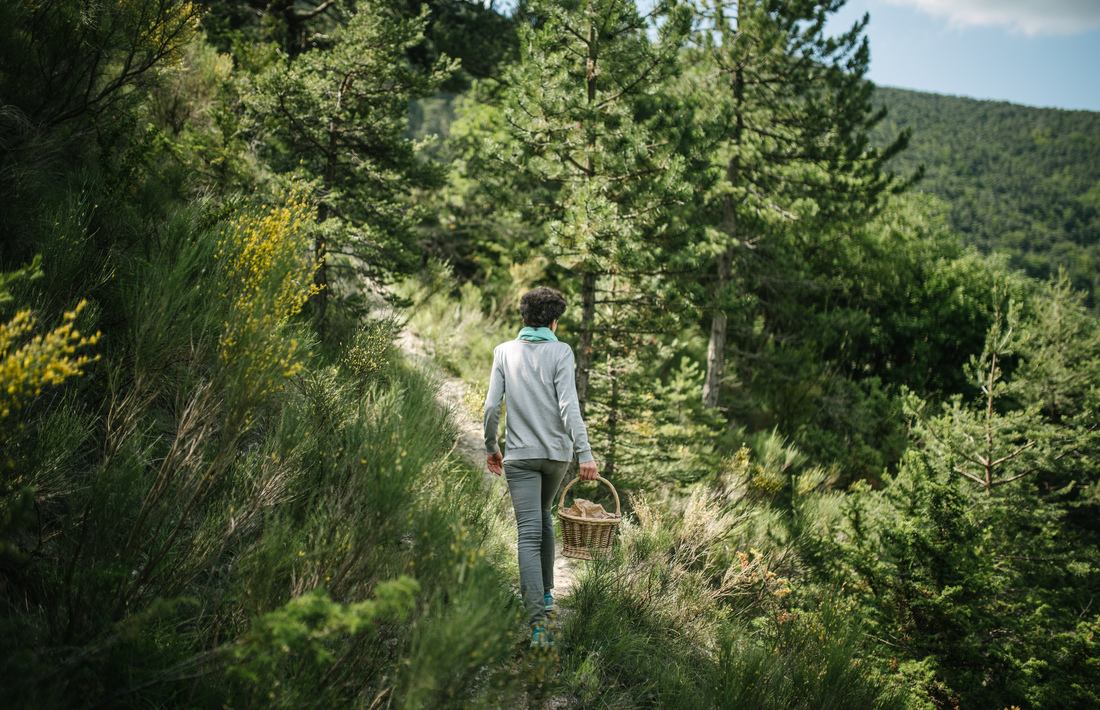 Claire qui cherche des plantes 