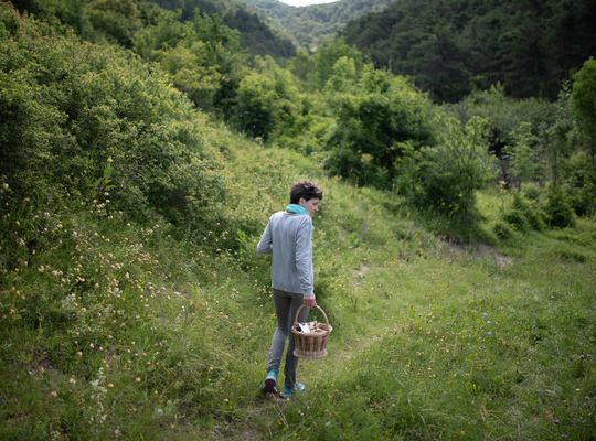 Claire et son panier