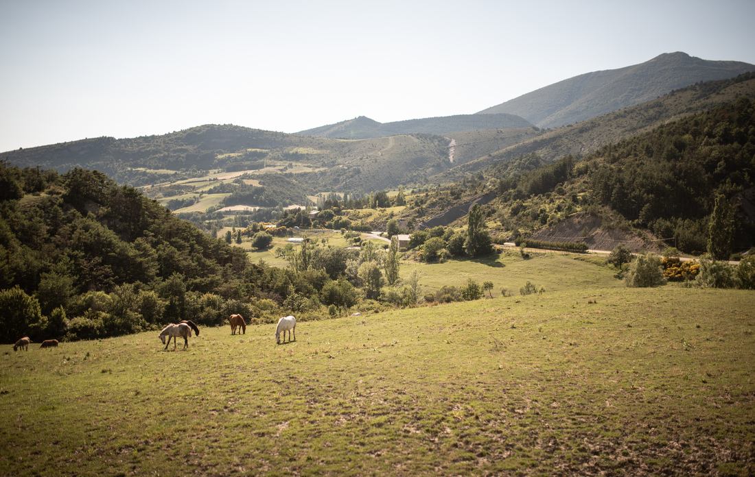 Une nature préservée