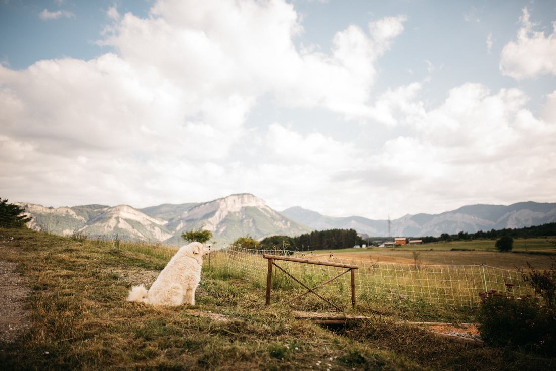 Vue depuis le Gite d'Eliane 