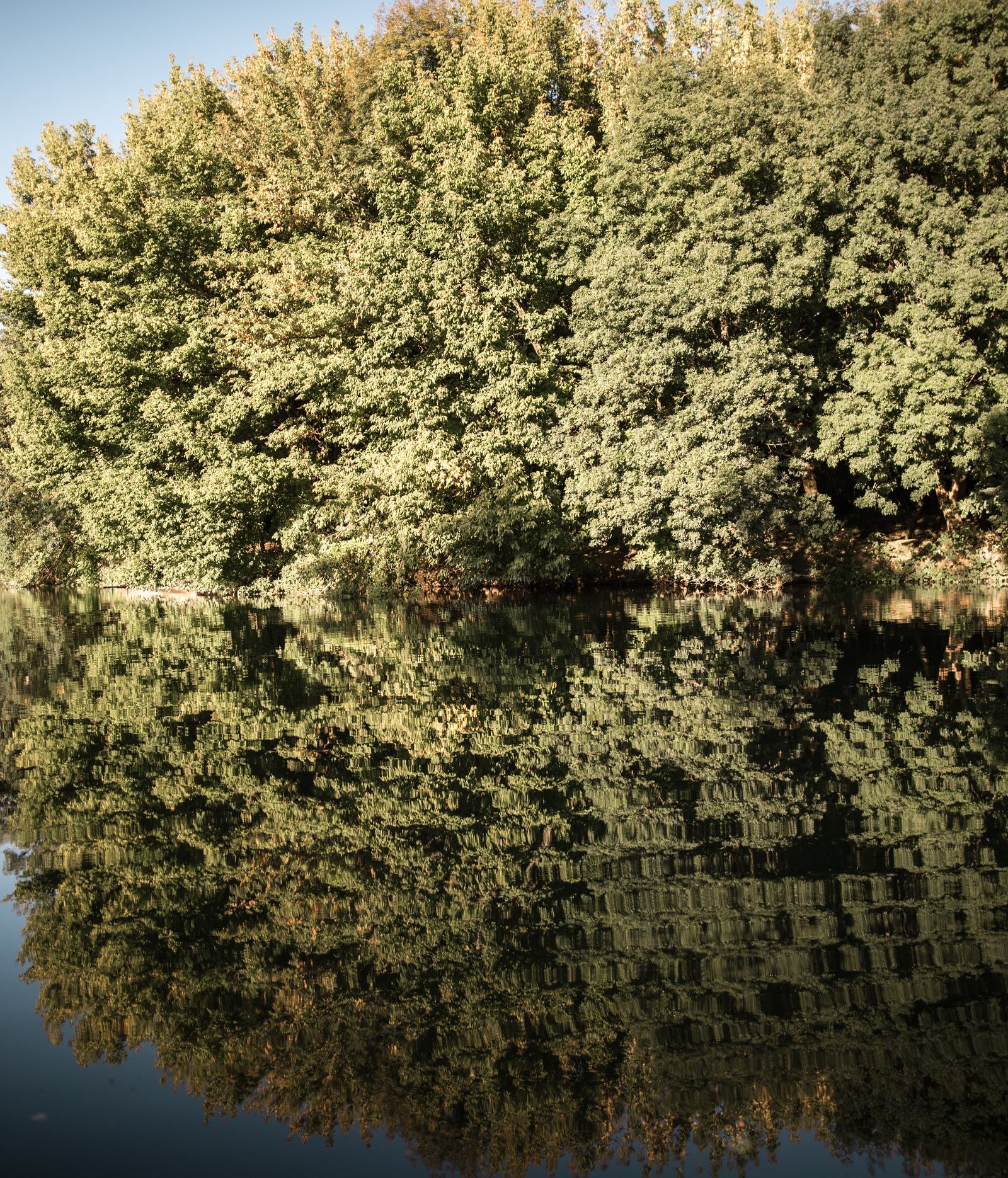 Reflet parfait sur la Charente 