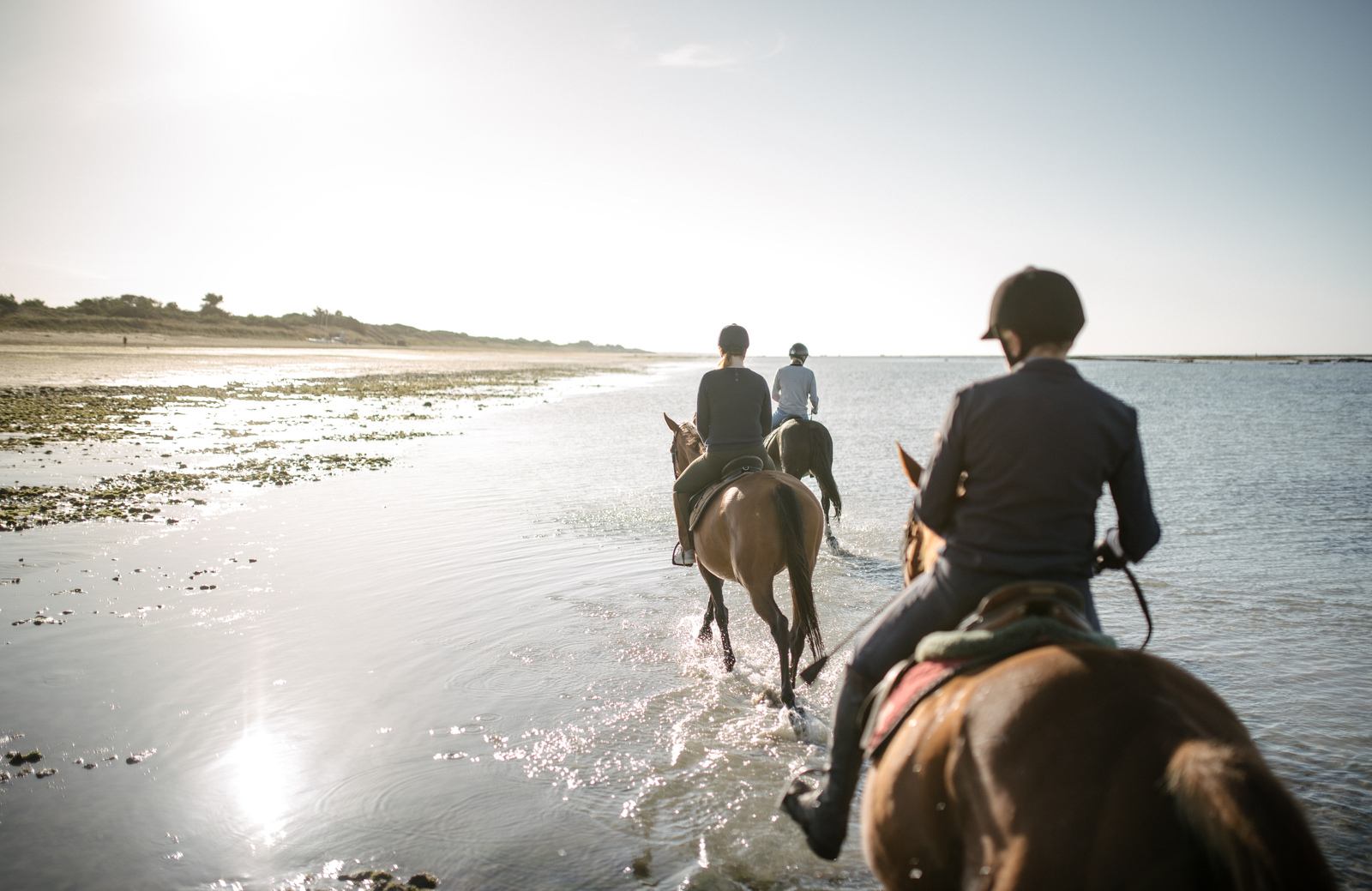 Balade à cheval matinal les pattes dans l'eau 