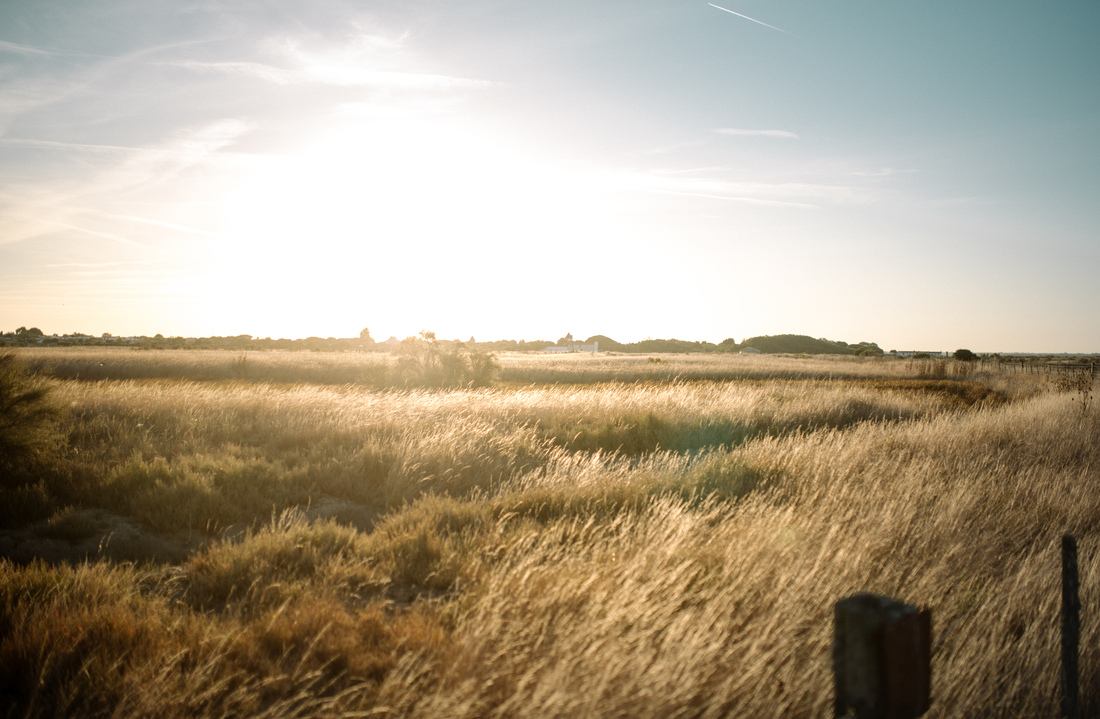 Les reflets dorés du lever de soleil du coté de Loix 