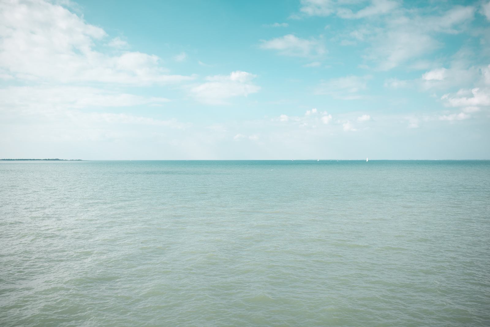 Océan à perte de vue 