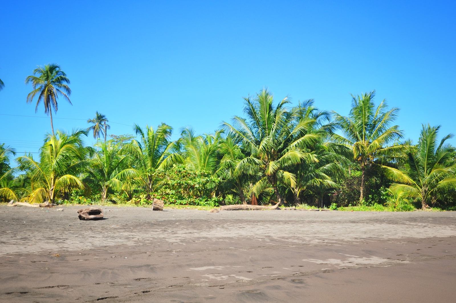 Plage et soleil à Tortuguero Costa Rica