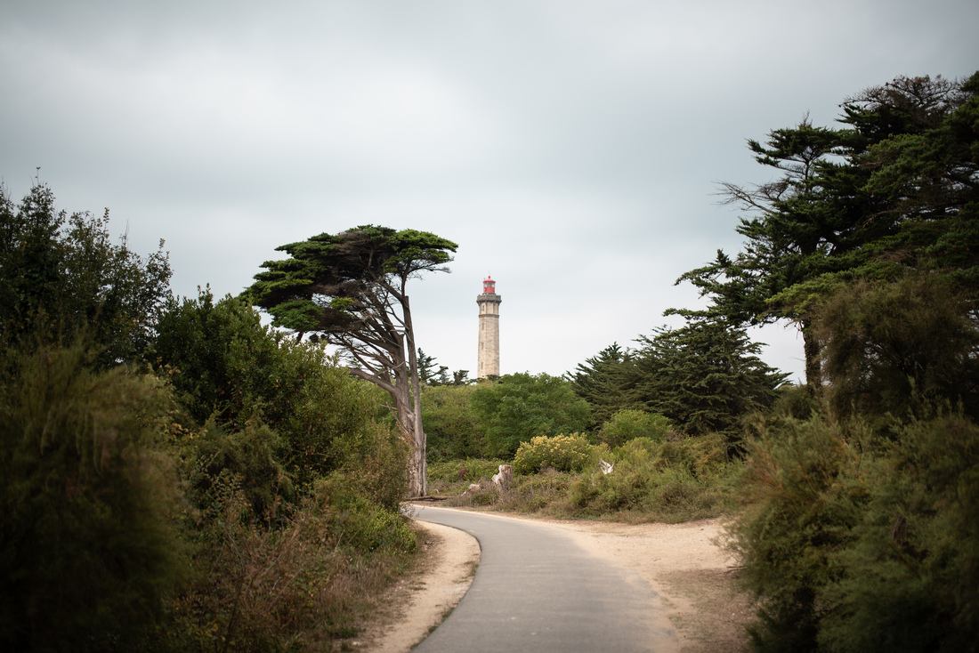 en route pour le phare des baleines 
